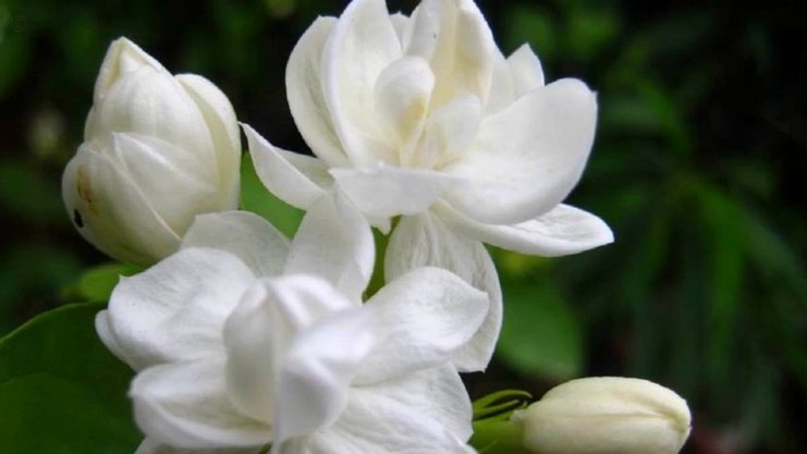 花呗套现：便利背后的隐藏风险