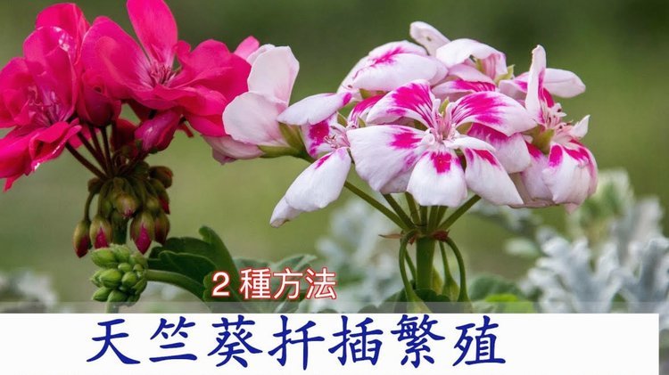 拿去花提现：风险与保障之道