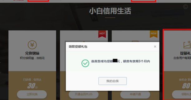 京东白条提现受限？深度解析使用与提现机制！