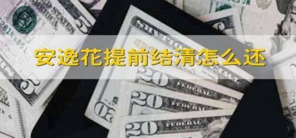 如何正确操作拿去花的提前结清