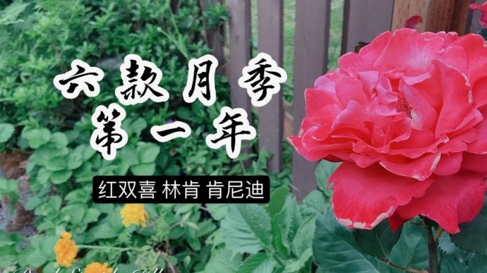 花呗月付套现：风险与技巧