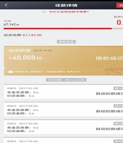 海鸥APP贷款：秒批额度背后的风控与挑战