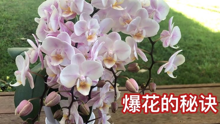 花呗提现攻略与风险解析