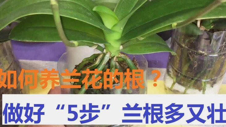 拿去花：贴吧轻松变现之路