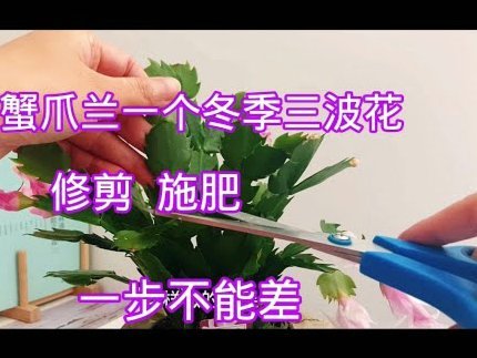 拿去花怎么套现贴吧