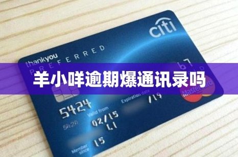羊小咩是正规借款平台吗