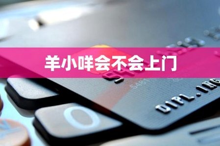 羊小咩是正规借款平台吗