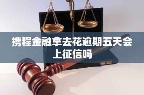 携程拿去花哪里还款 现在还不了