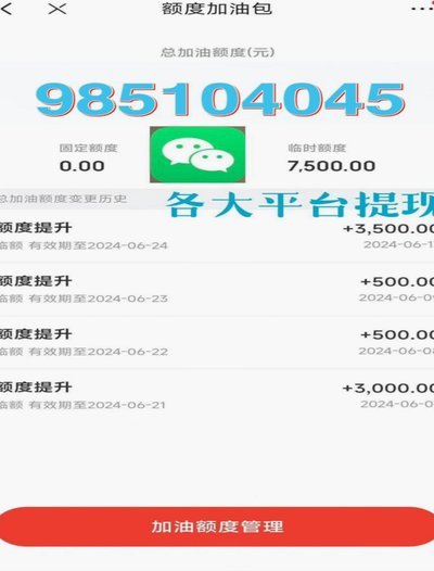 白条取现额度99.99