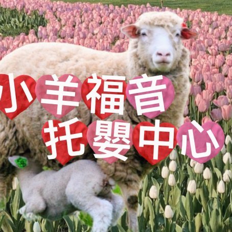 羊小咩享花卡提现资格