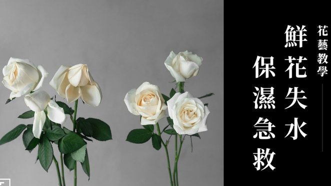谁知道花呗怎么提现