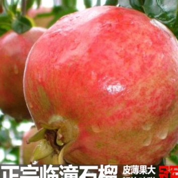 拿去花取现停息 背后原因揭秘
