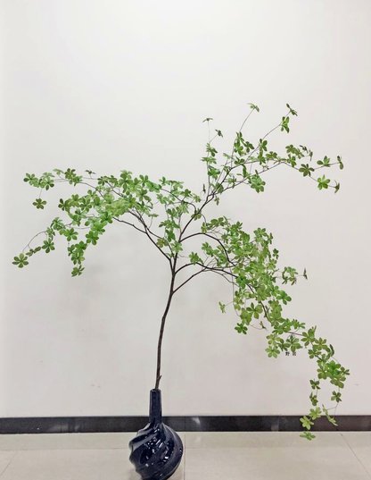 花呗金提现：便捷服务背后的用户风险