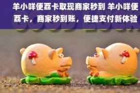 羊小咩取现秒到？真相大揭秘