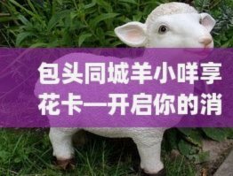 羊小咩取现秒到是否可信