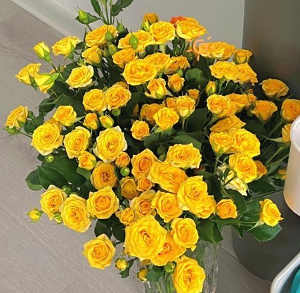 秒用花用户真实评价