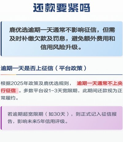 鹿优选借款详情