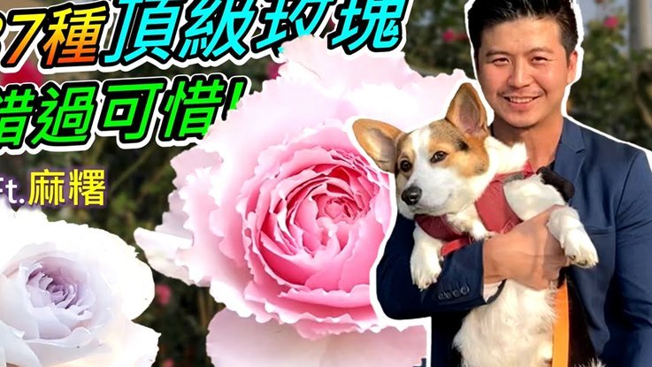 携程拿去花取现操作指南