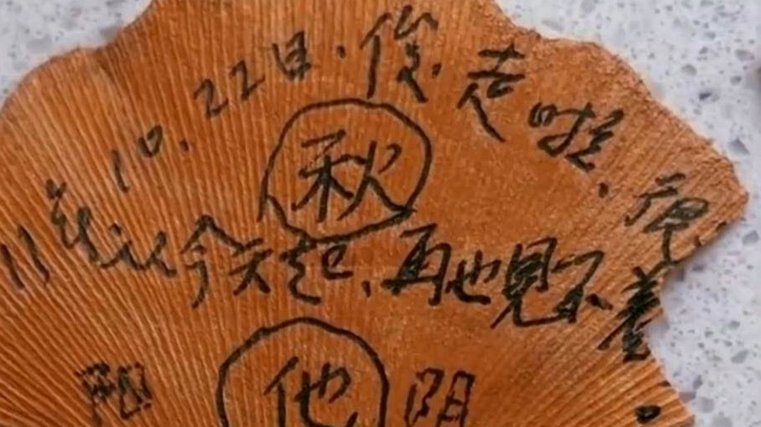 处理母亲遗物，如何让记忆永不褪色？