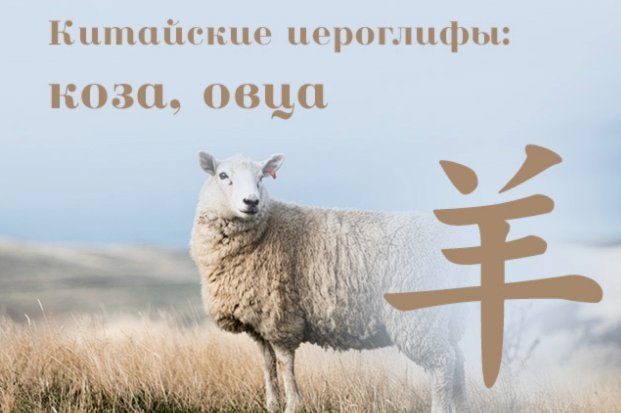 羊小咩100额度直接1000