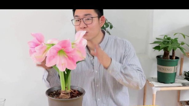 花呗恢复使用攻略：常见问题及解决方法