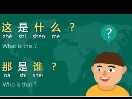 白条支持那些平台