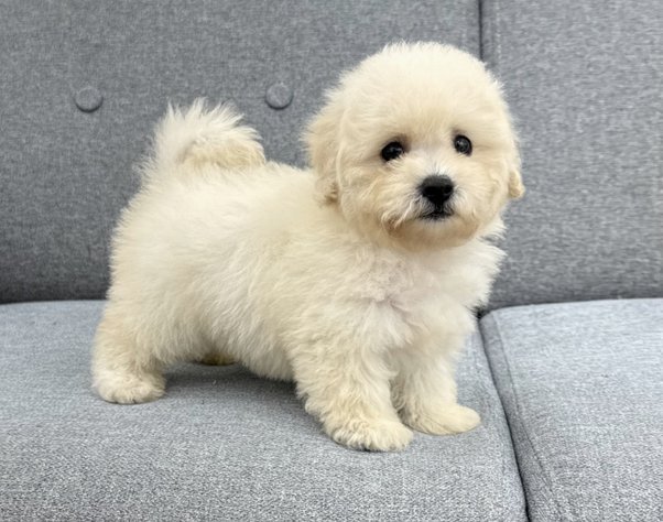 中原消费桃享卡能不能套现到银行卡
