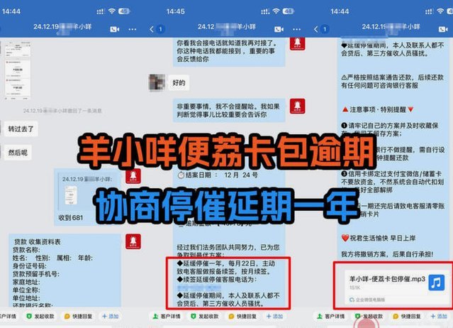 羊小咩可以分期还款吗