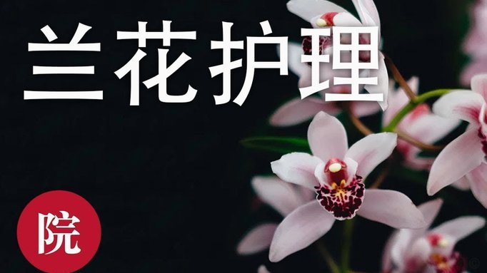 花呗帮别人套现有什么风险