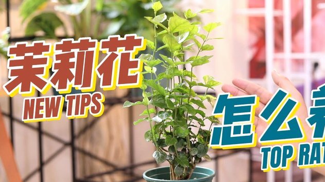 闲置资金如何转化为收益