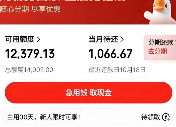 白条取现费用到底按天算吗？深度解析成本构成和计费机制