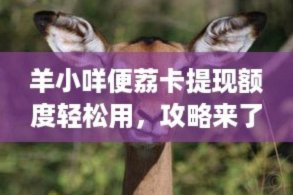 羊小咩灵活提现助商家高效运转