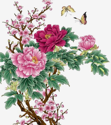 花呗套花呗