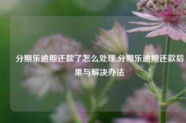 分期乐如何还钱